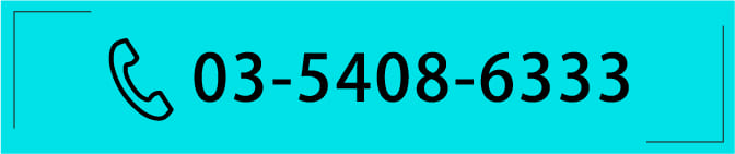 03-5408-6333